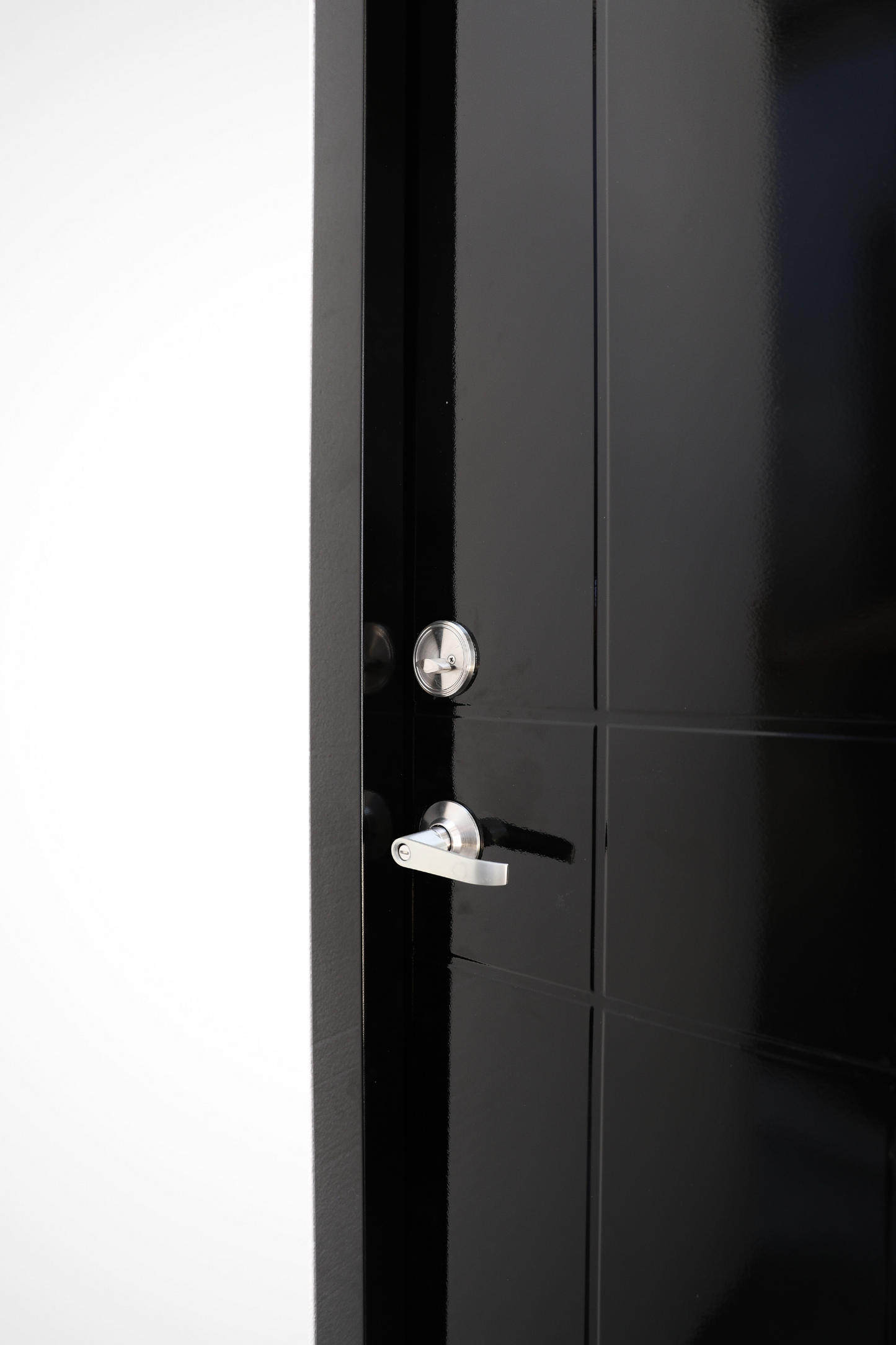 David | Designed Steel Door