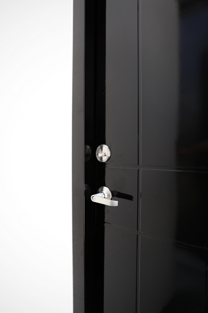 David | Designed Steel Door