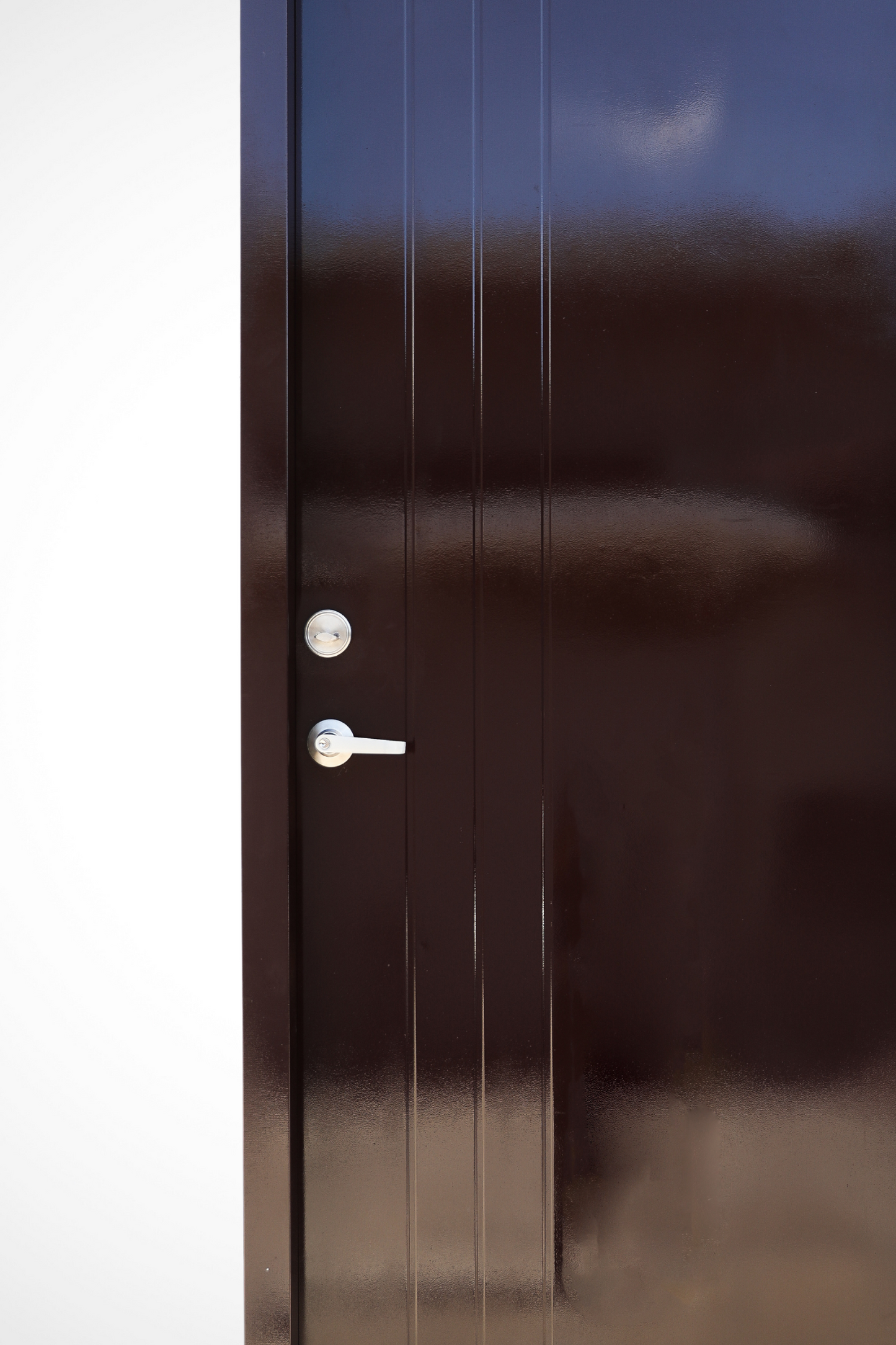 Justine | Designed Steel Door