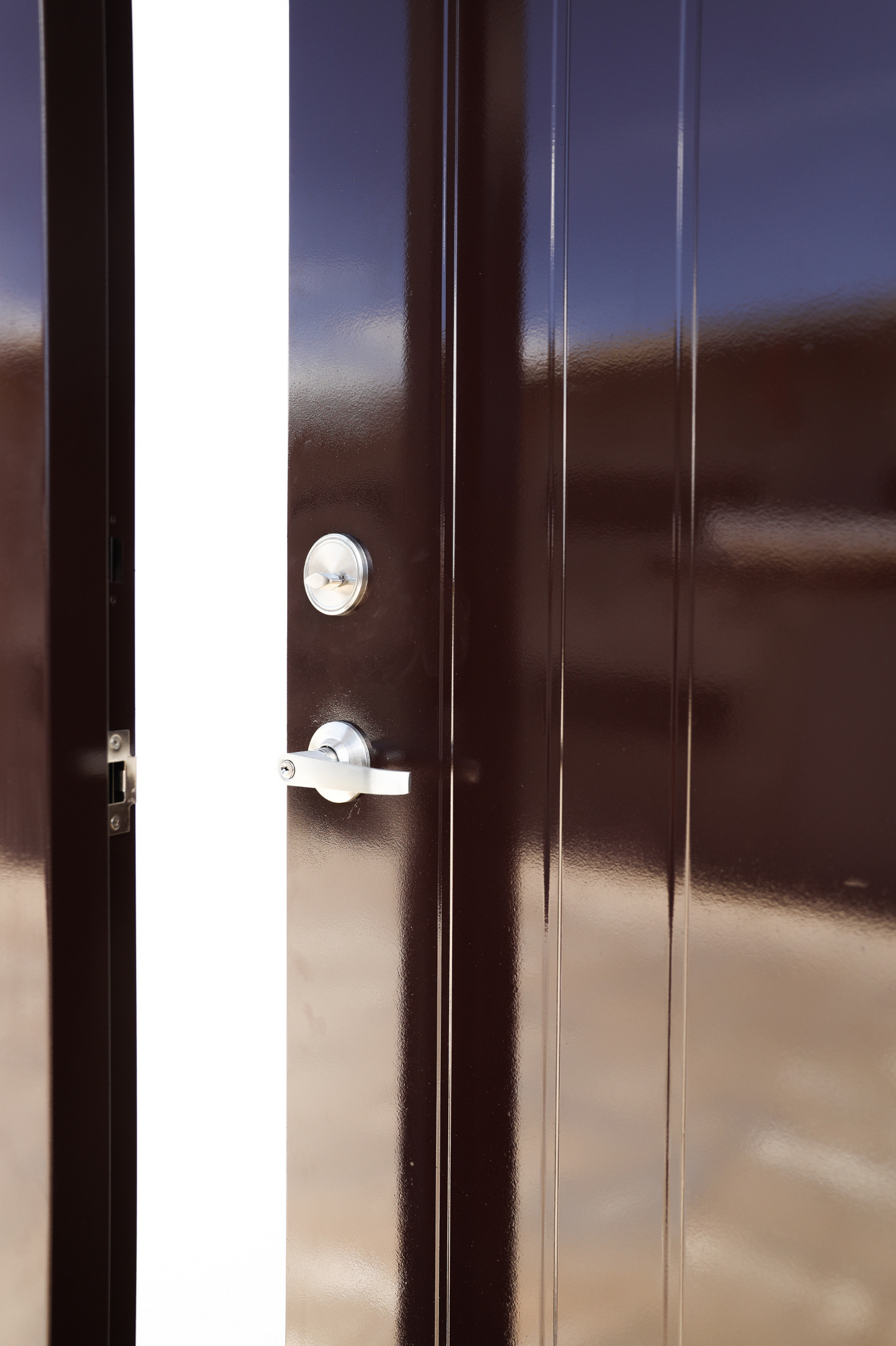 Justine | Designed Steel Door