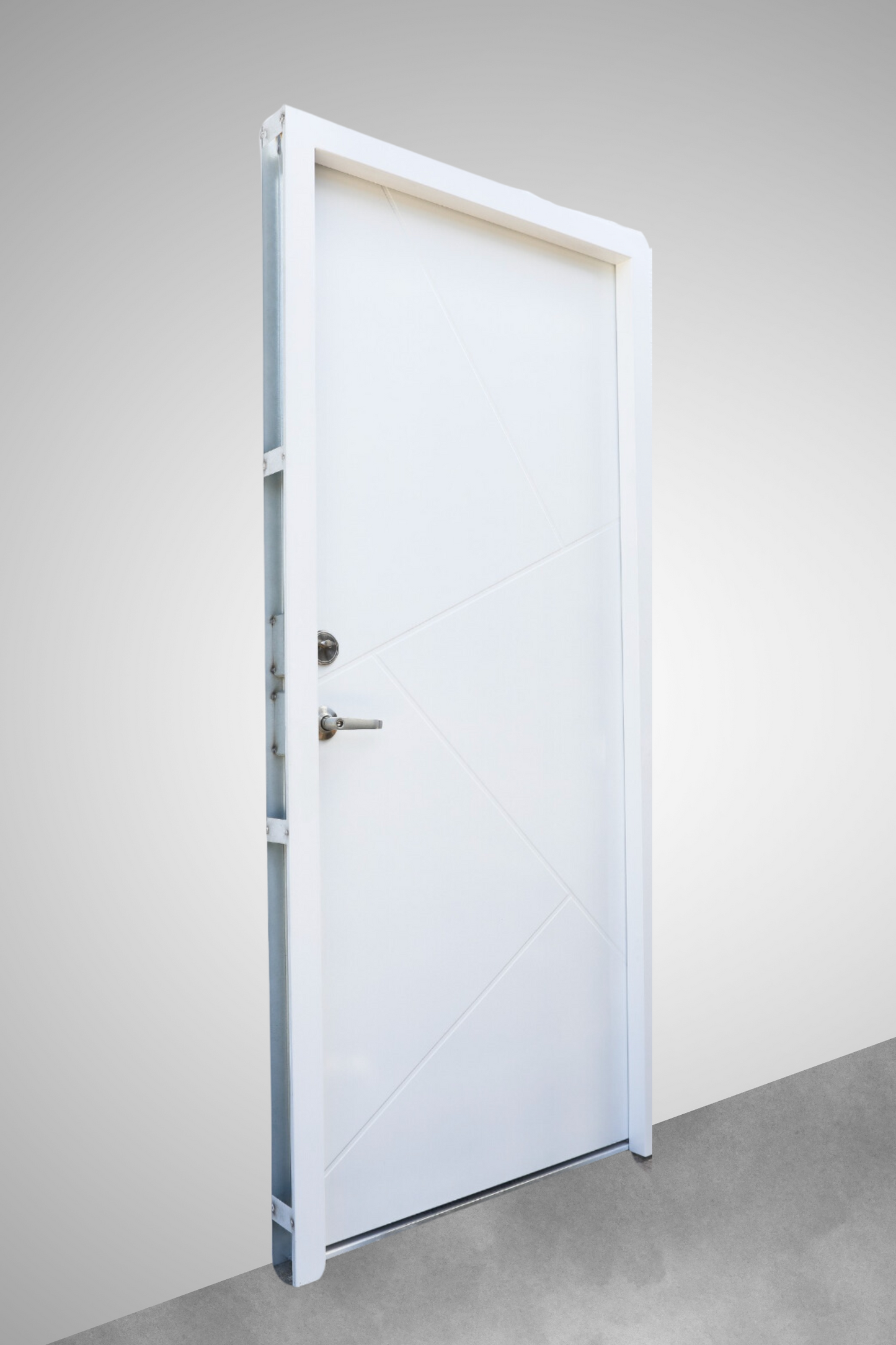 Yani | Designed Steel Door